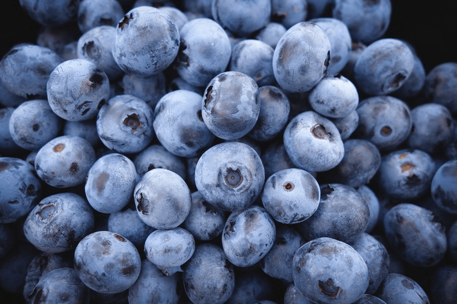 blueberries pikeun ngawétkeun nonoman